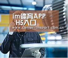 研发能力标题四