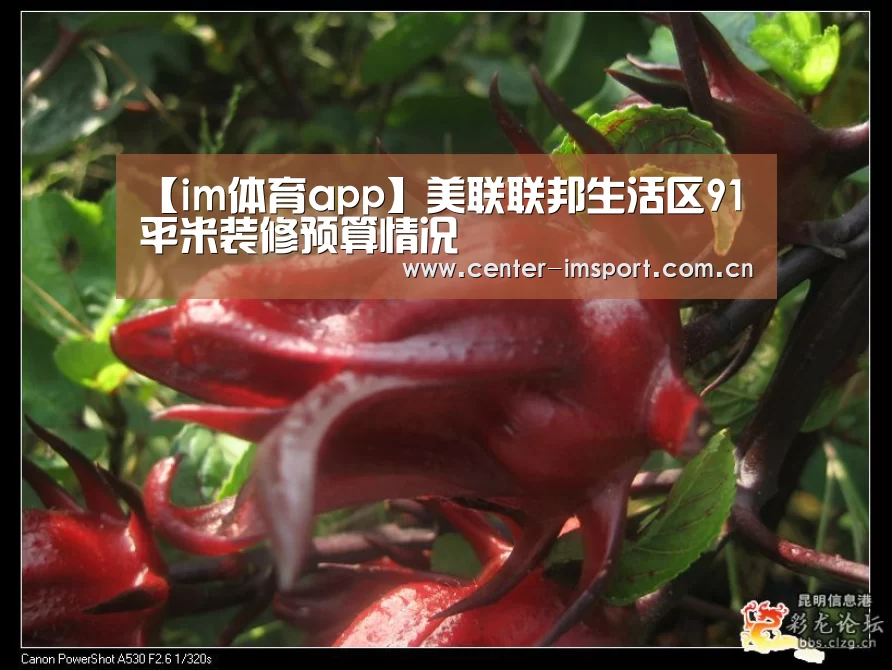 【im体育app】美联联邦生活区91平米装修预算情况