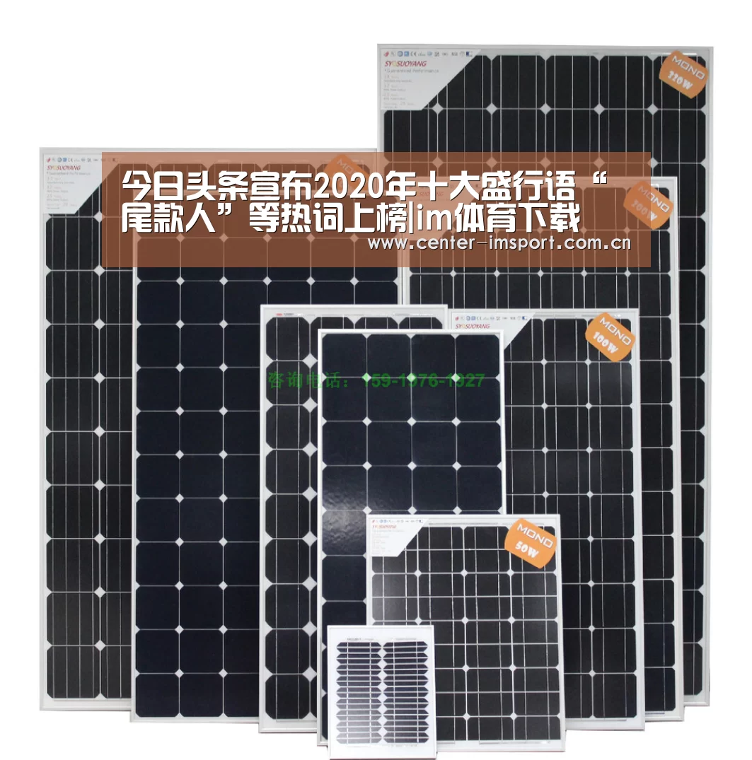 今日头条宣布2020年十大盛行语“尾款人”等热词上榜|im体