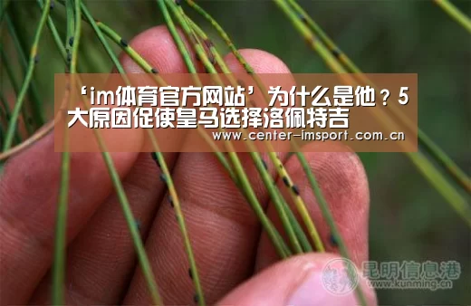 im体育官方网站