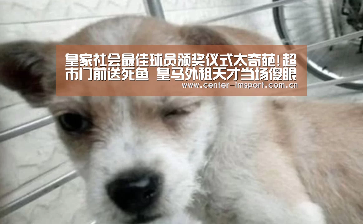 皇家社会最佳球员颁奖仪式太奇葩!超市门前送死鱼 皇马外租天才