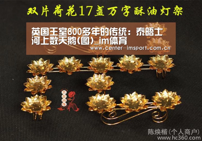 英国王室800多年的传统：泰晤士河上数天鹅(图)_im体育