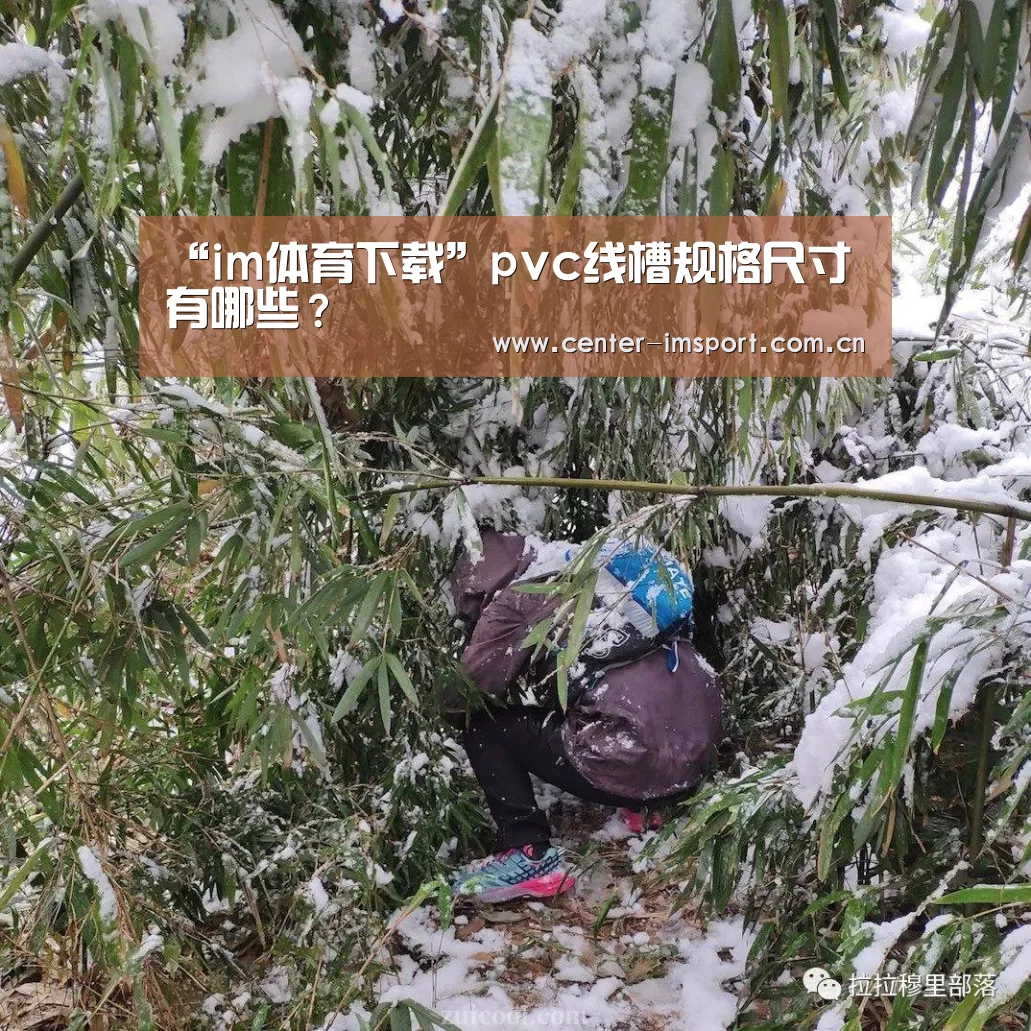 im体育下载