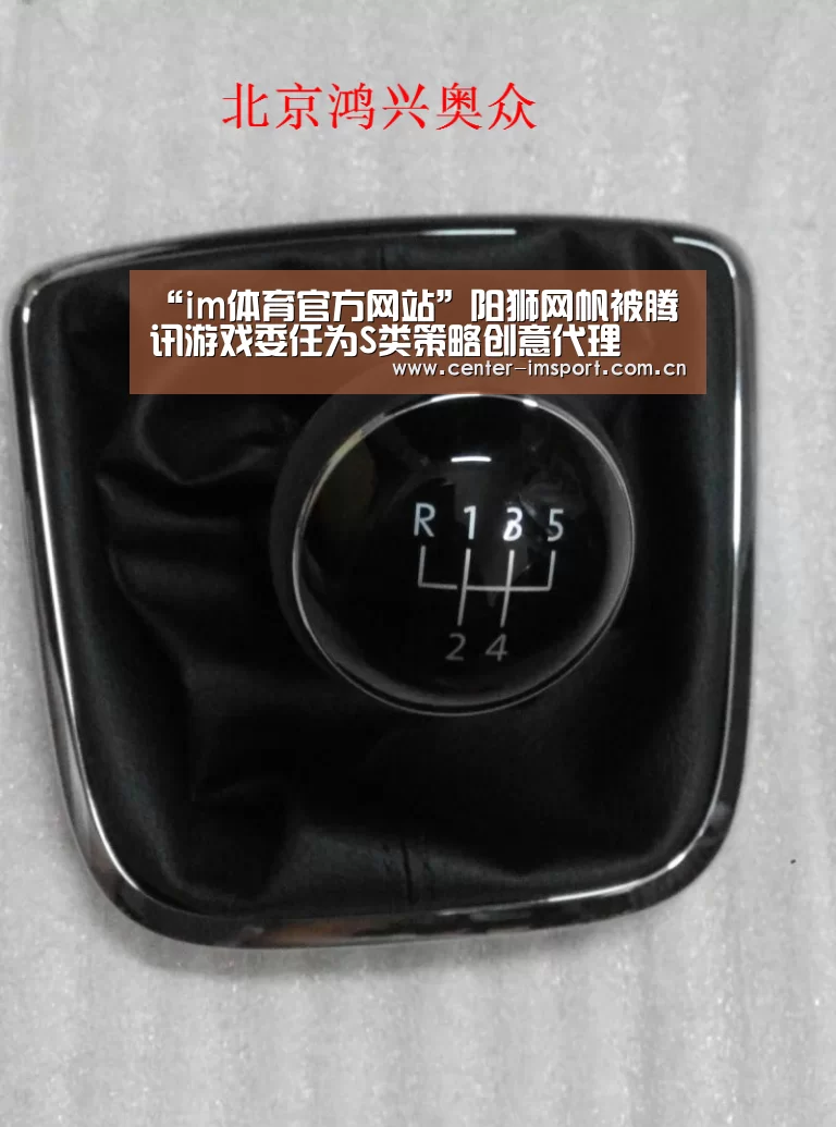 “im体育官方网站”阳狮网帆被腾讯游戏委任为S类策略创意代理