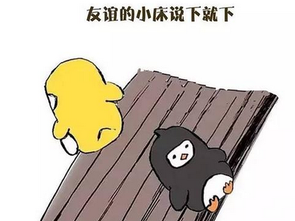 im体育下载